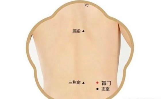 肓门穴：侧腰脾胃双调理的神奇穴位——缓解腹胀、腰痛不适
