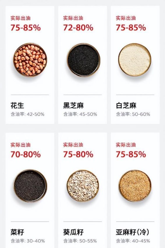 榨油机：厨房新宠