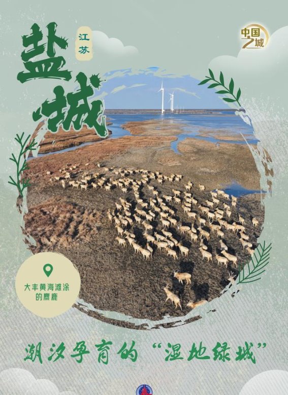 盐城：潮汐之力孕育的湿地绿城