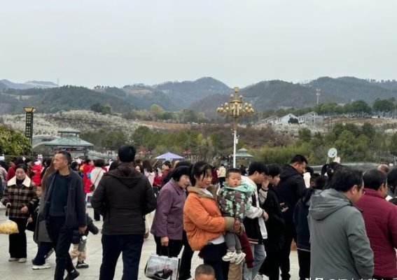 春日樱桃沟：花海与欢声笑语交织的美好时光