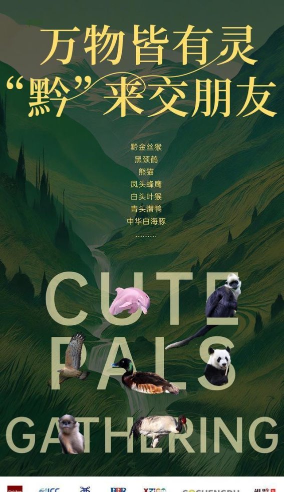 高原的优雅使者：黑颈鹤的栖息与保护