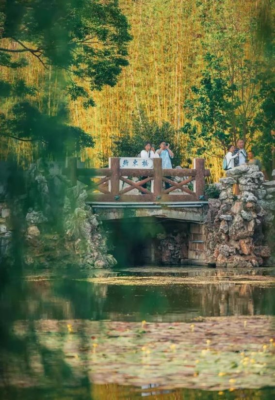 适合4月出行的3个城市，风景太美了，真的好放松，旅行必去！