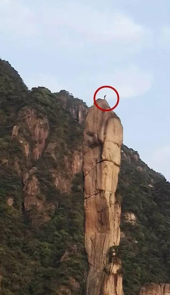 自然遗产的伤害与法律的回应：巨蟒峰与梵净山刻字案件的深刻启示