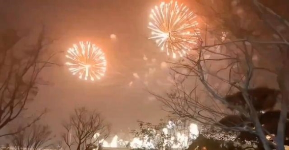 高安元旦烟花秀：璀璨的夜空与城市的希望
