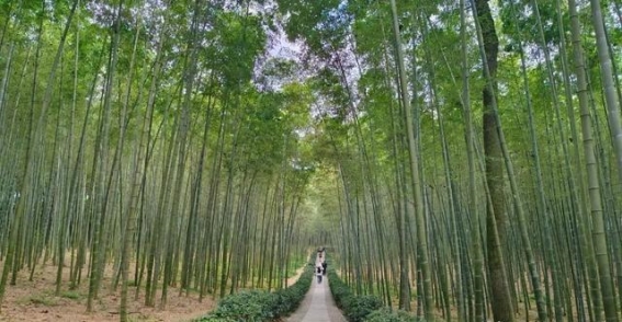 新婚生活的心路历程