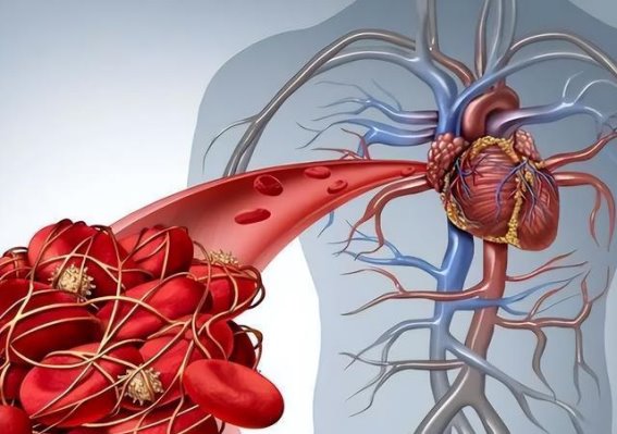 适量饮酒的健康益处：打破常见误区，科学饮酒防痴呆