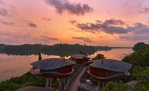 新加坡万态雨林悦榕庄迎来首批客人，探寻自然与奢华的完美融合