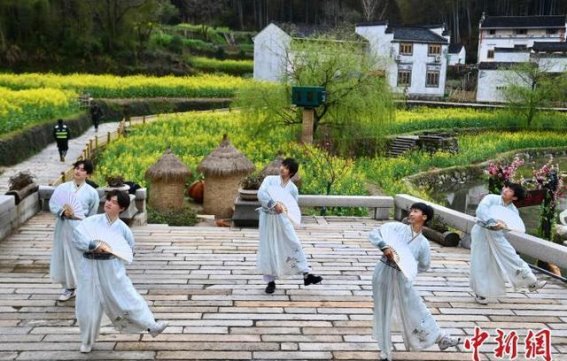 黄山灵山村梯田油菜花：春日里的金色波澜