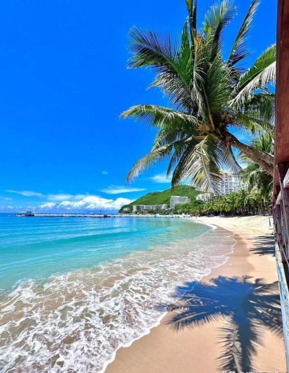 三亚毒蛇咬伤悲剧：医疗延误致命，家属揭露惊人内幕