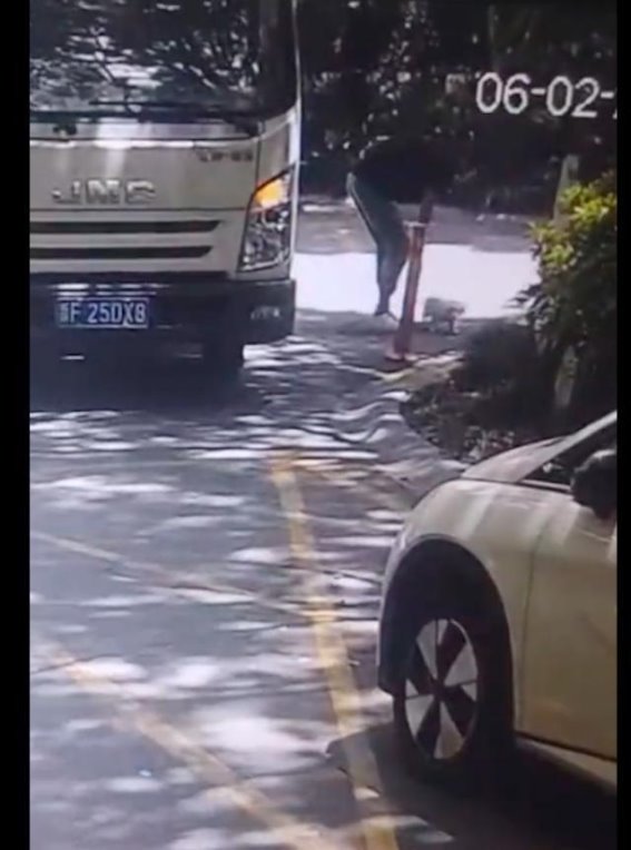 爱与责任：从一只被遗弃的小狗看待养宠物的责任