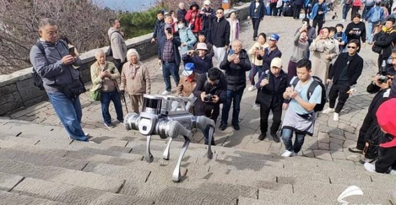 泰山十八盘的科技奇迹：机器狗引领的未来之路