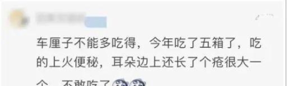 车厘子降价引发健康问题，过量食用会带来隐患