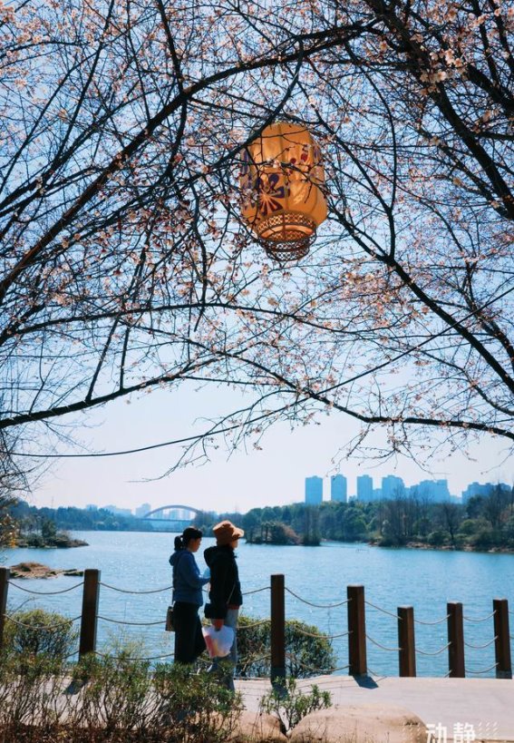 贵阳观山湖公园：春光中最动人的旋律