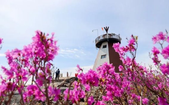 北京大兴至阿尔山首航，开启北纬47°的仙境之旅