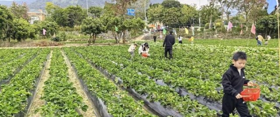 冬日温泉之旅：探险者车友会的温暖时光