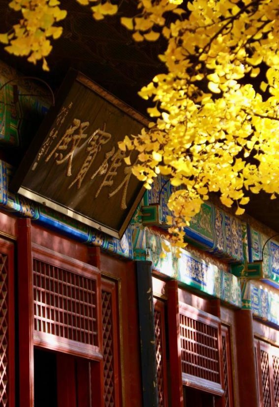 京郊的宁静之地，红螺寺的秋日魅力