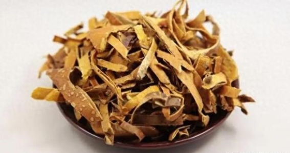 瓜蒌：清除体内痰湿的“天然吸痰器”，助你恢复健康