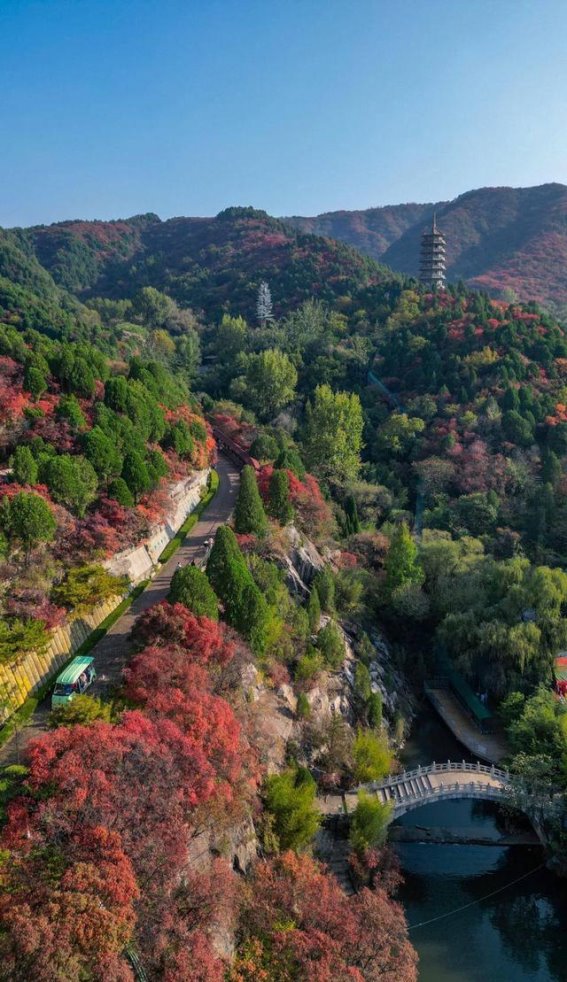 秋日红叶：霜降时节的美丽盛宴
