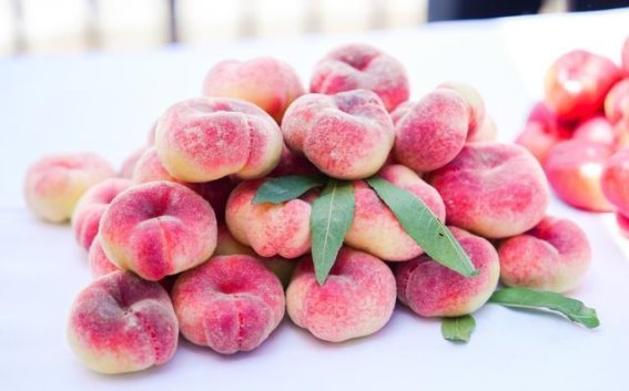 春意盎然，平谷桃花节盛大启幕