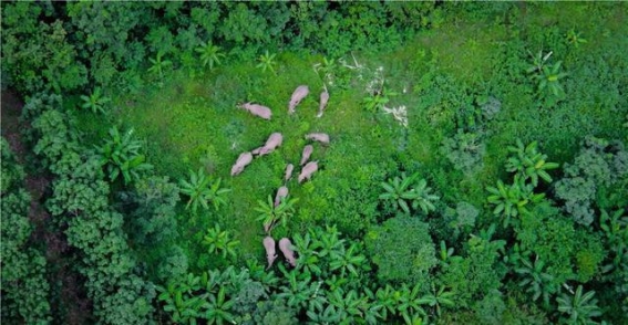 绿色云南：生态保护与高质量发展的共赢之路