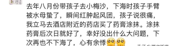 夏日海滩警示！小心这种“塑料袋”：僧帽水母伤害不容忽视！