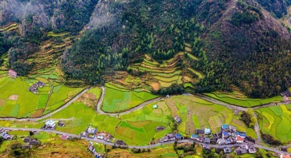 从路边苹果到创业巅峰：赵铁锤的独特创业故事