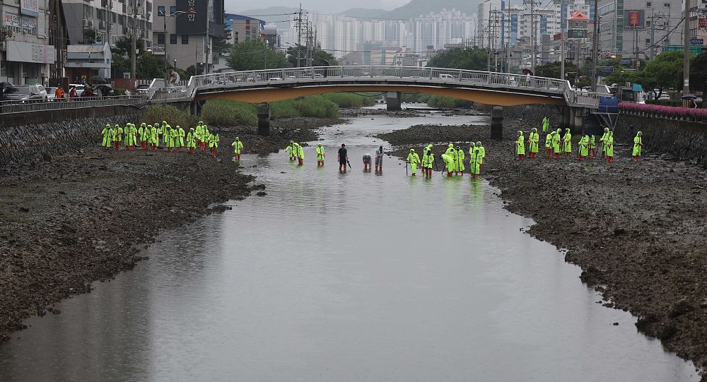 韩国查出2100多名“幽灵婴儿”，已确认249人死亡