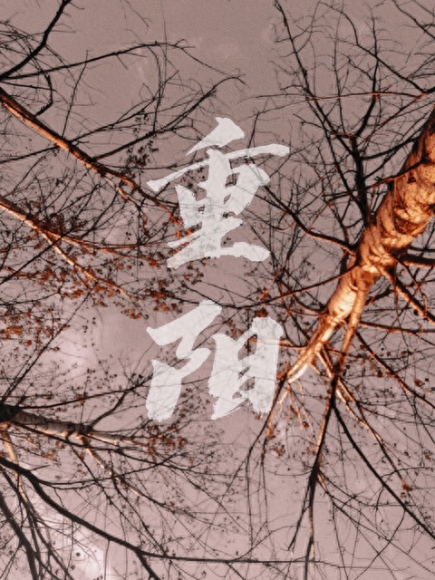 重阳预兆冬季雨雪：老人的智慧与天气预测