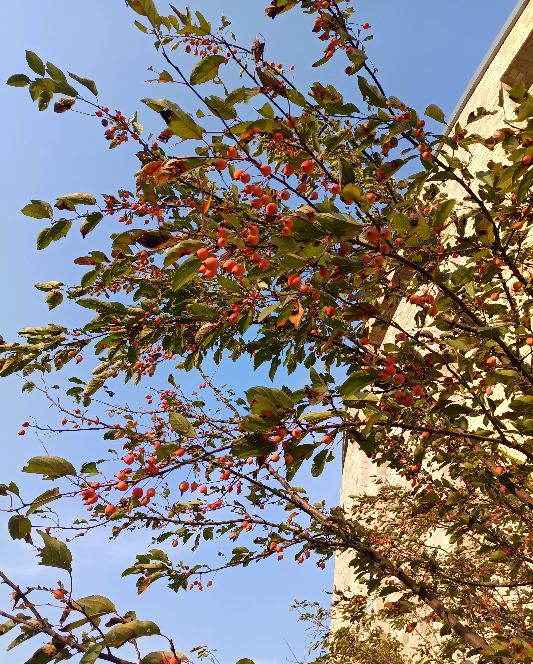 红颜中老报道：我发现，自从我丈夫退休以来，他的行为变得越来越让人感到困惑和不解。