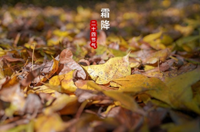 霜降节气即将到来，明日天晴好还是下雨好？答案揭晓，还可预测冬季雨雪的多少！