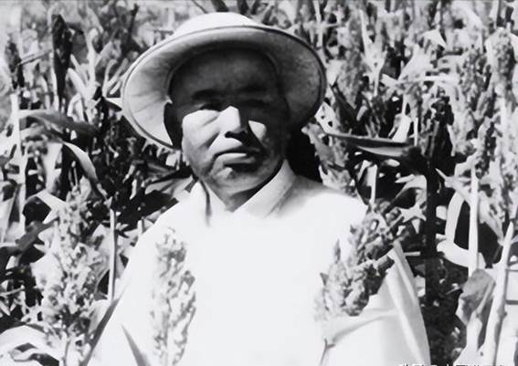 红色誓言：许世友将军带枪守灵的坚毅与情感