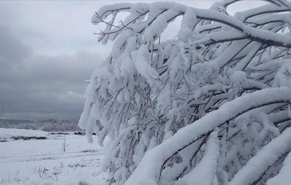 寒潮袭来，河南冰雪降温，各地应提前防寒 ​