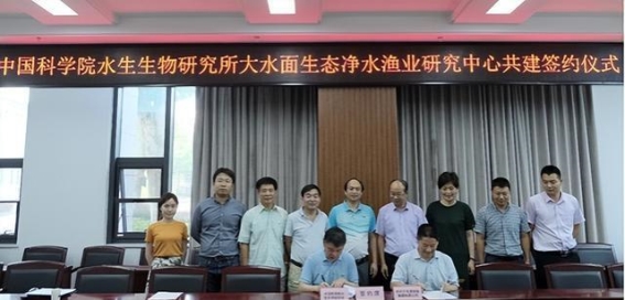 千岛湖的“保水渔业”：生态治理的智慧之举