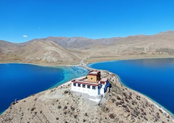 西藏羊湖的鱼群之谜：信仰、保护与生态危机