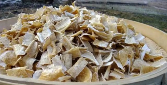 冬日食瓜养生，一味冬瓜多滋补