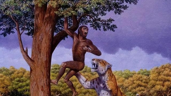 人类对同类尸体的恐惧：深层原因与进化心理学解析