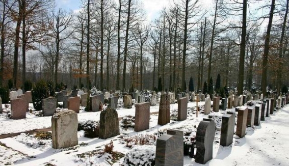 坟地与校园：学府之间的特殊“共生关系”