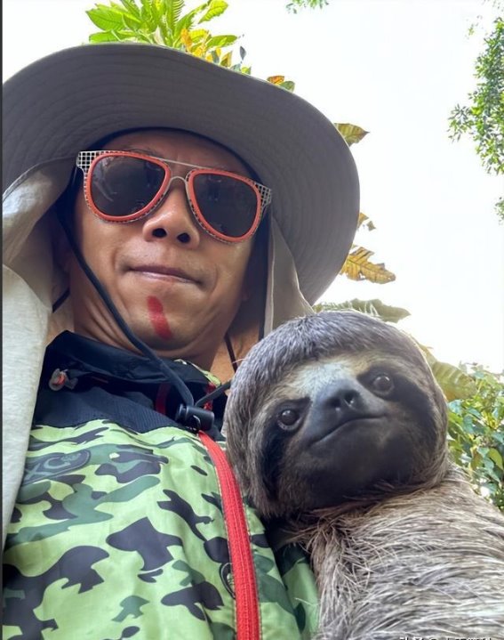 夏雨与“闪电”树懒欢笑互动，网友评论搞笑引发热议！