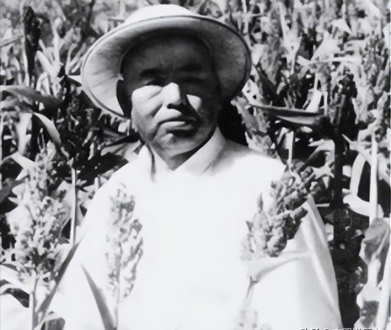 岁月长河中的坚守与牺牲：陈海松与西路军的峥嵘岁月