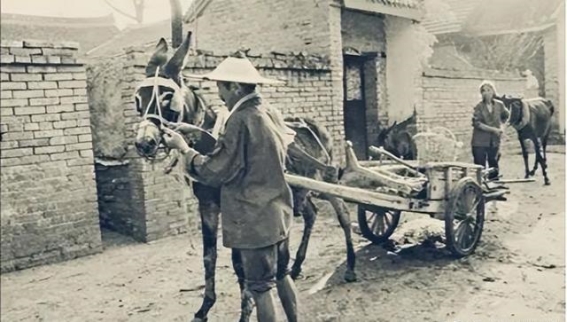 岁月长河，红色传奇：坚韧刘法玉与革命岁月的交响