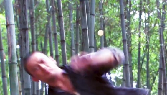 穿越到抗战，八路军战士何时变修仙？