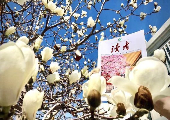 精神长相：内在修炼的外在显现