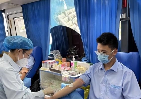 血型与健康：深度解析不同血型的身体素质与养生建议