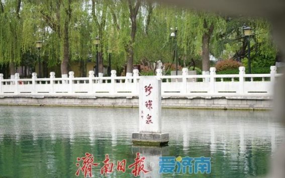 谷雨时节，济南珍珠泉涌泉如珠