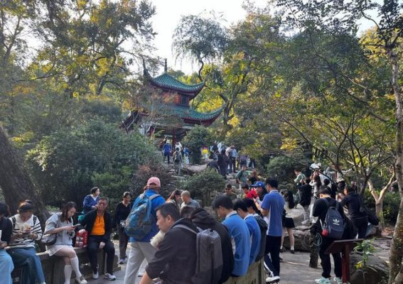 岳麓山秋景渐浓，枫叶与银杏的变色之旅