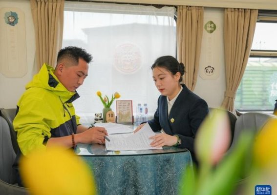 银发专列：温馨旅程中的熊猫管家