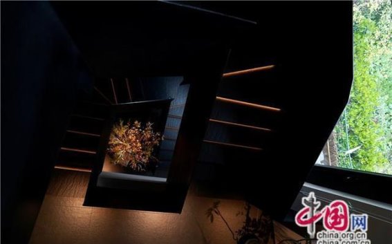 照也民宿：古镇新颜，周庄民宿的文化升级之道