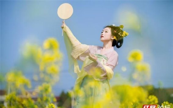 春光下的挽洲岛：油菜花海与乡村美景的完美邂逅