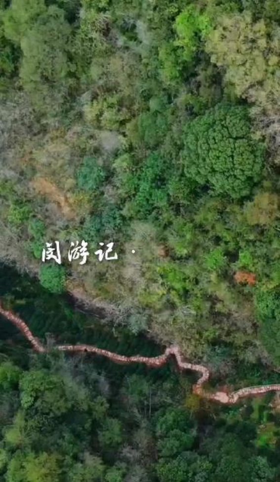 燕子窠：岩壁与茶山共生的千年传奇