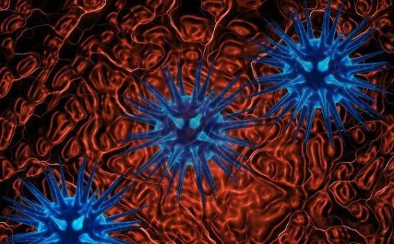 从绿到黄：大便颜色的秘密